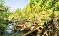 Property image gallery