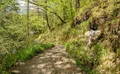 Property image gallery