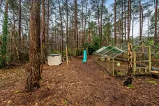 Frensham Vale, Farnham, GU10 photo 11