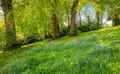 Property image gallery