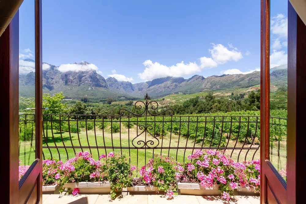 South Africa, Western Cape, Stellenbosch Farms, Zevenrivieren Rd, BMontagnes