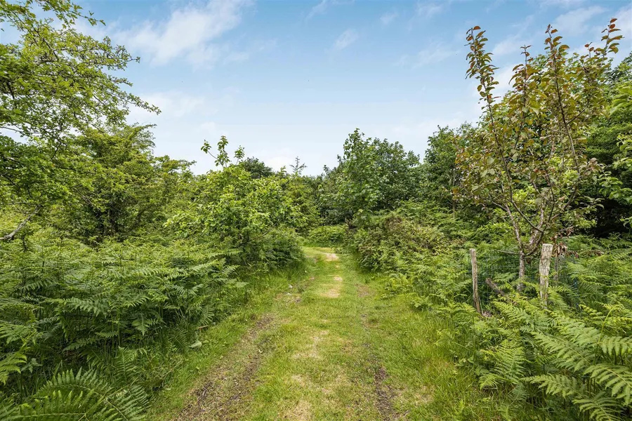 Property Image 33