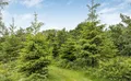 Property image gallery