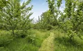 Property image gallery