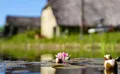 Property image gallery