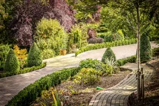 Furze Hill, Purley, CR8 photo 32