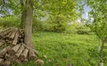 Property image gallery