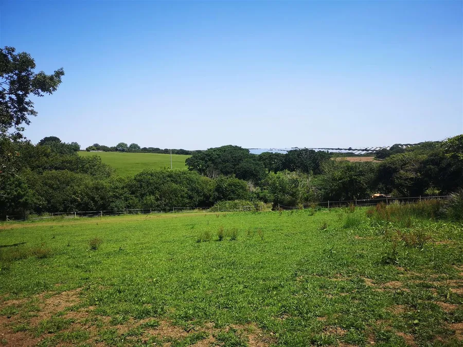 Property Image 17
