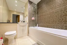 Burgess Springs, City Park West, Chelmsford