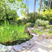Property 25