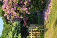 Lock Road, Honing, North Walsham