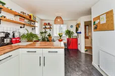 Lily Road, Frome