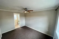 Primrose Drive, BRANDON