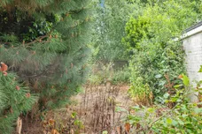 Purdy Way, Aylsham, Norwich