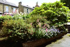 Nether Edge Road, SHEFFIELD