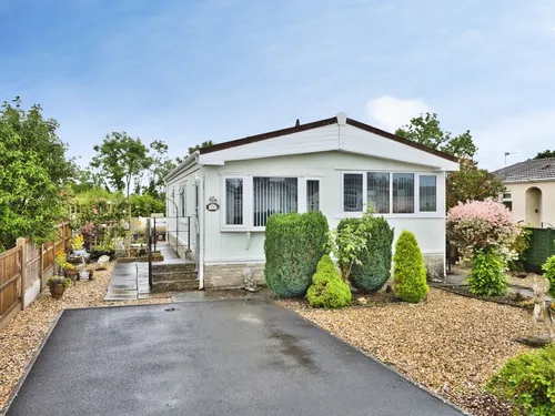 Primrose Hill, Charlton Mackrell, Somertonphoto