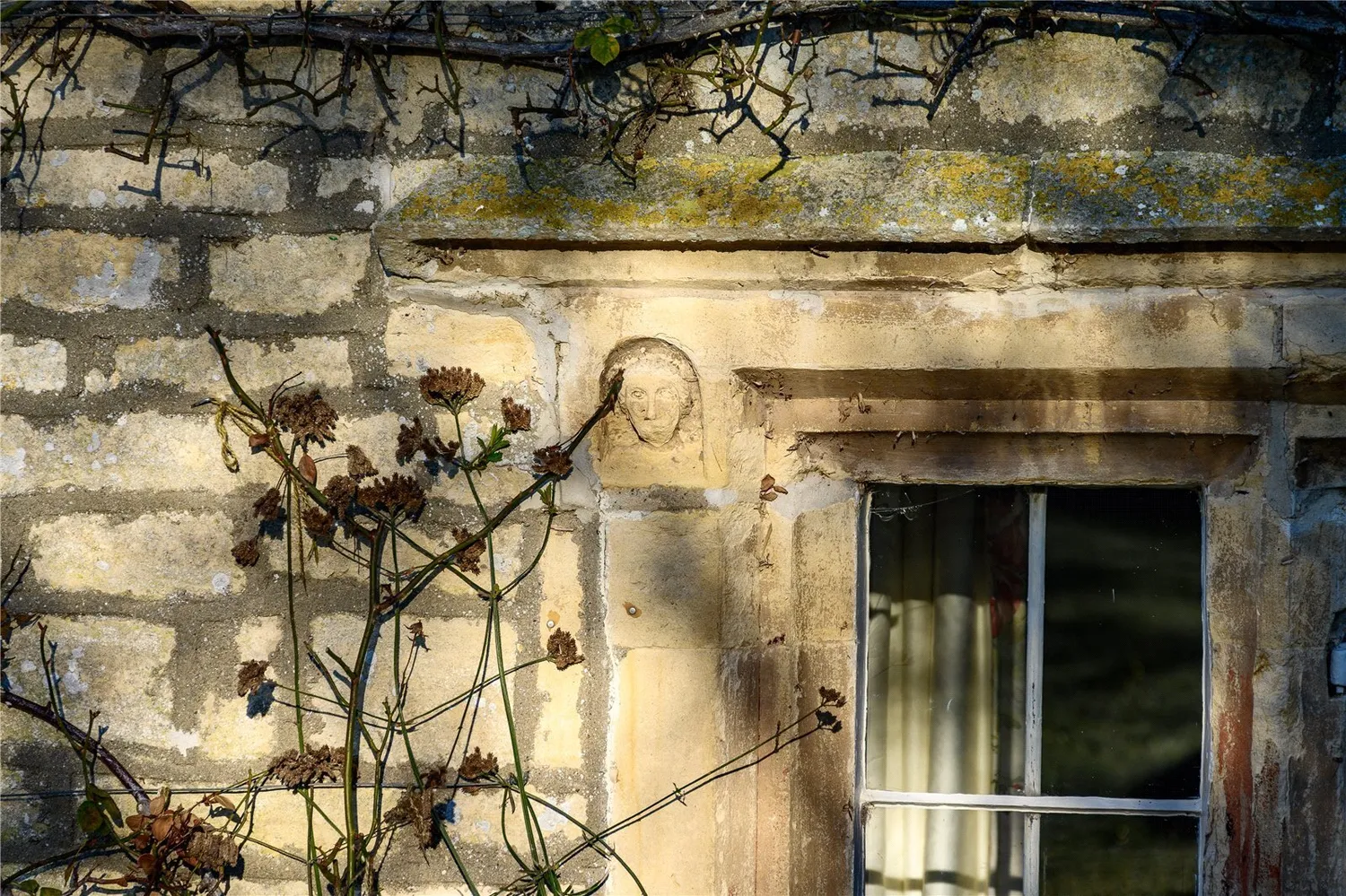 Todber, Sturminster Newton, DT10 photo 18