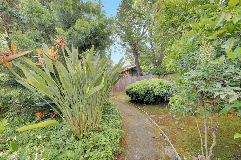 5244 Fair Oaks Blvd, Carmichael, CA 95608