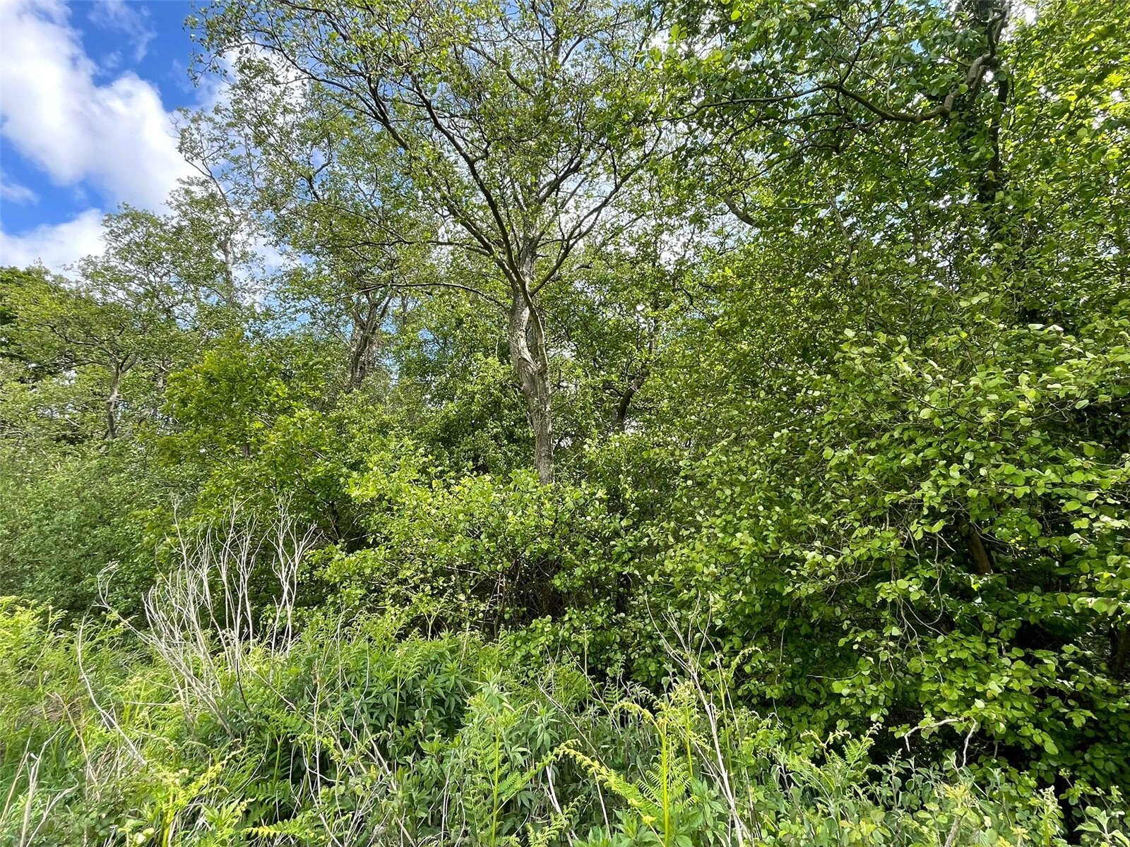 Off Station Road, Buscott, Ashcott, Somerset, TA7