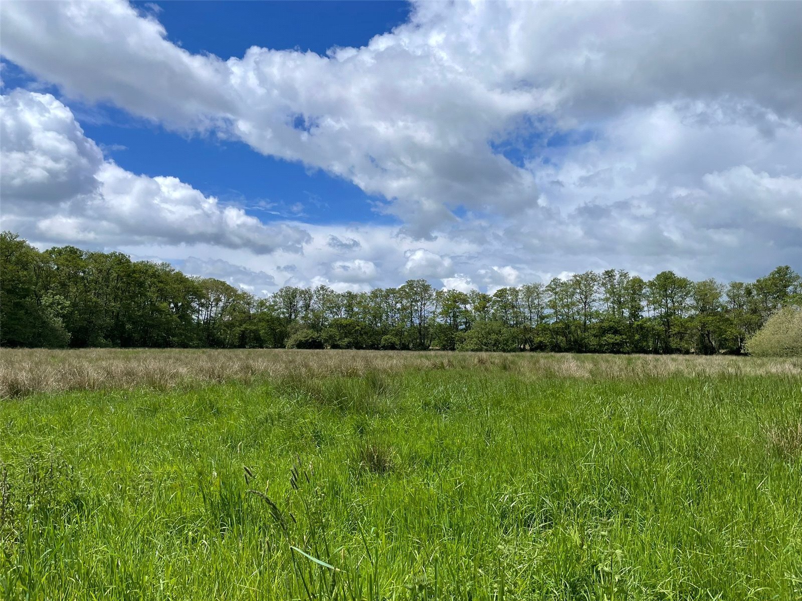 Off Station Road, Buscott, Ashcott, Somerset, TA7
