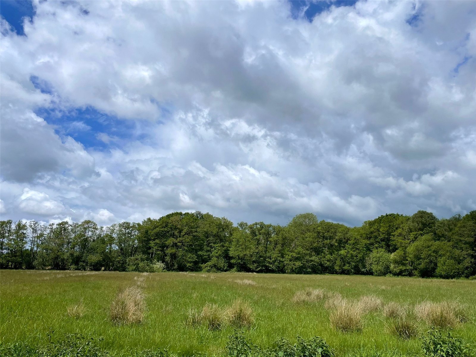 Off Station Road, Buscott, Ashcott, Somerset, TA7