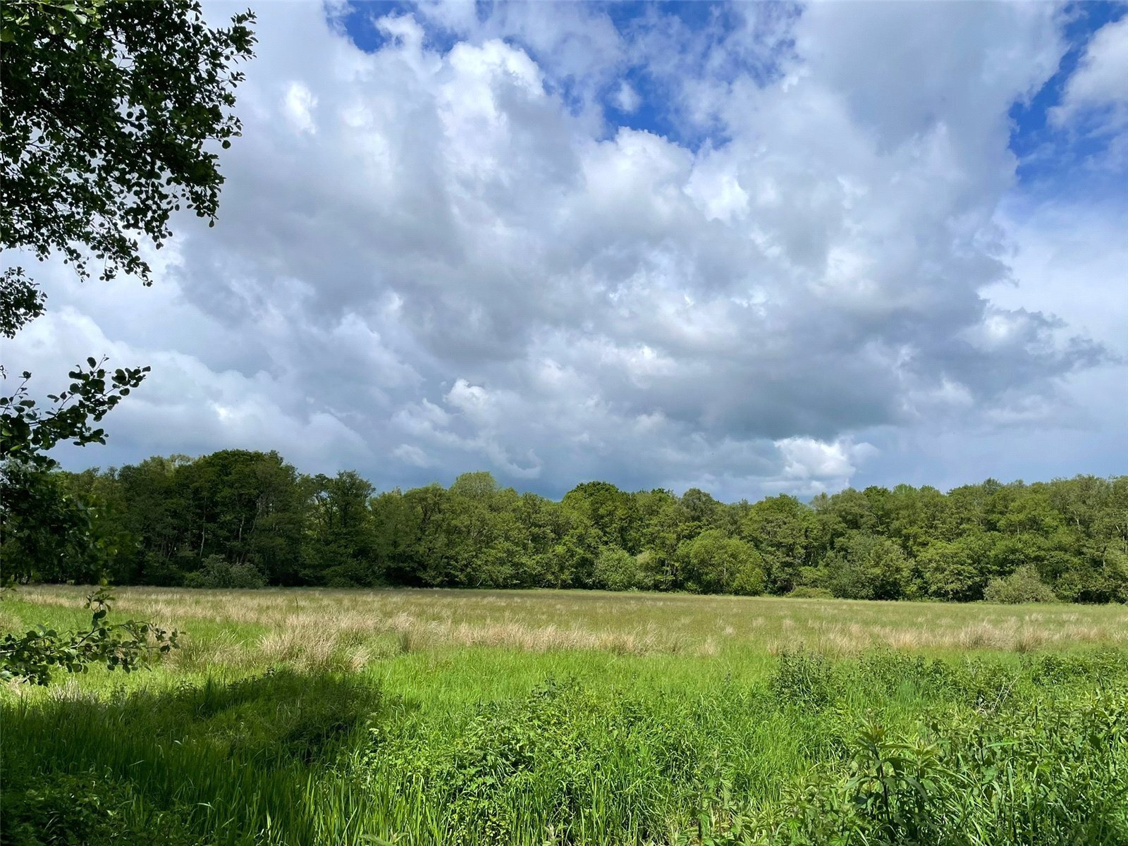 Off Station Road, Buscott, Ashcott, Somerset, TA7