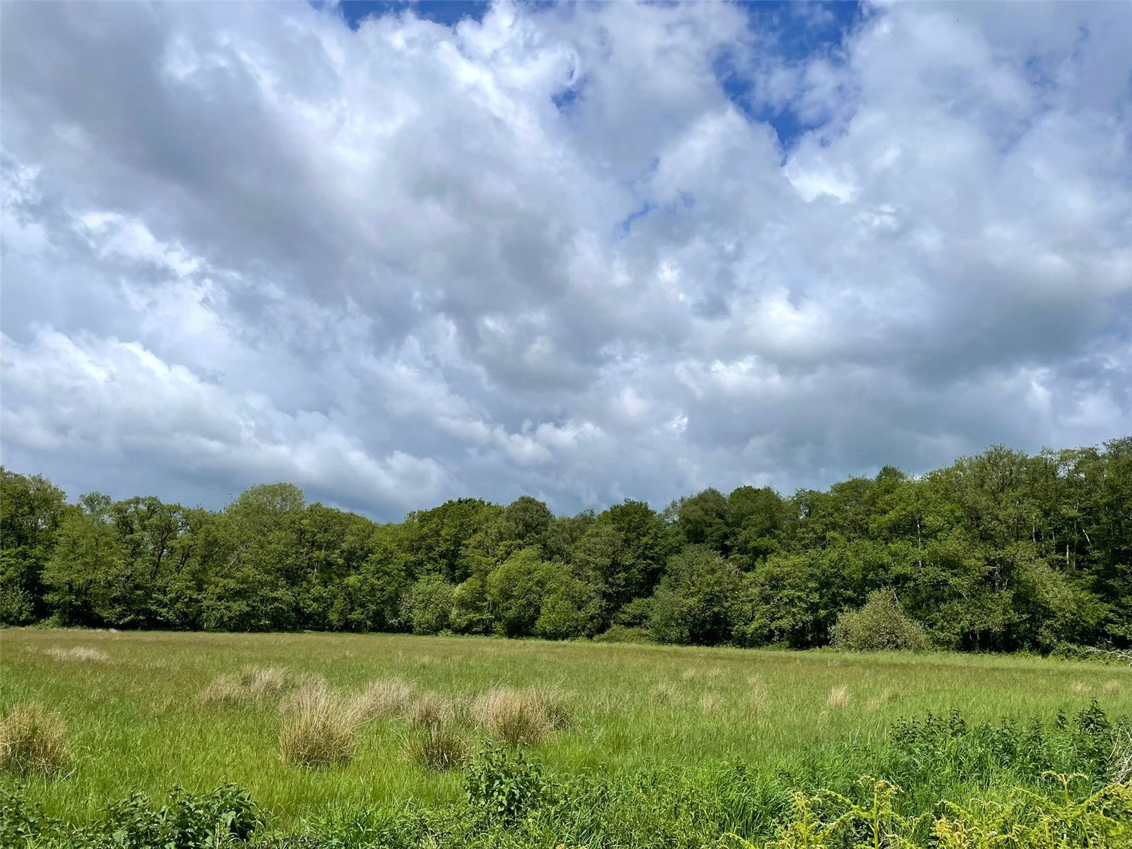 Off Station Road, Buscott, Ashcott, Somerset, TA7