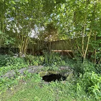 Property 40