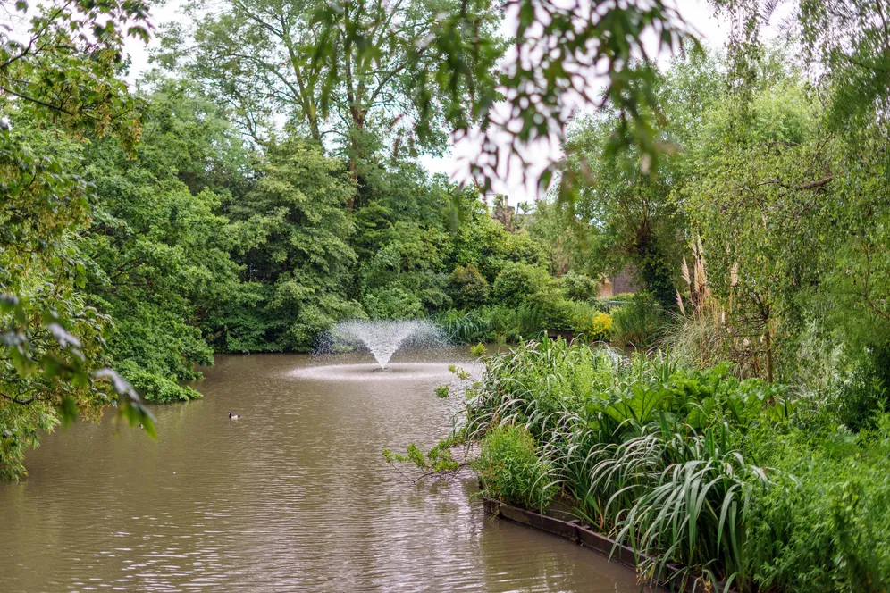 The Knoll, Ealing, W13 photo 11