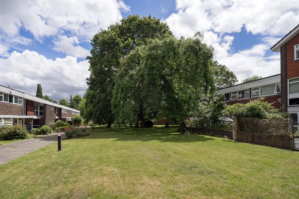 The Knoll, Ealing, W13 photo 13