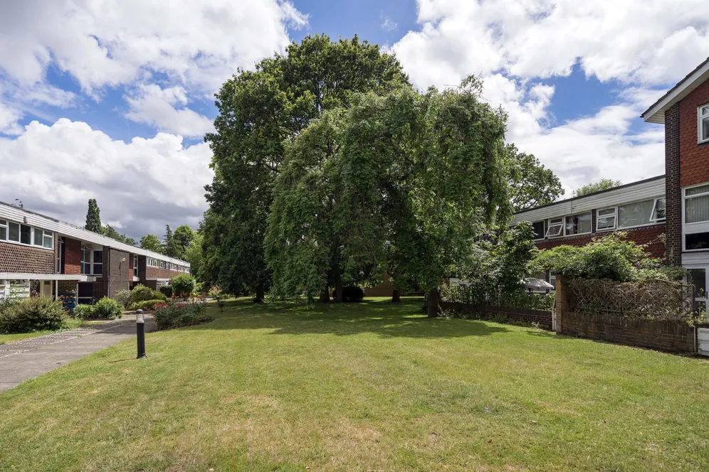 The Knoll, Ealing, W13 photo 13