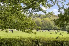Bashurst Hill, Horsham, RH13 photo 19