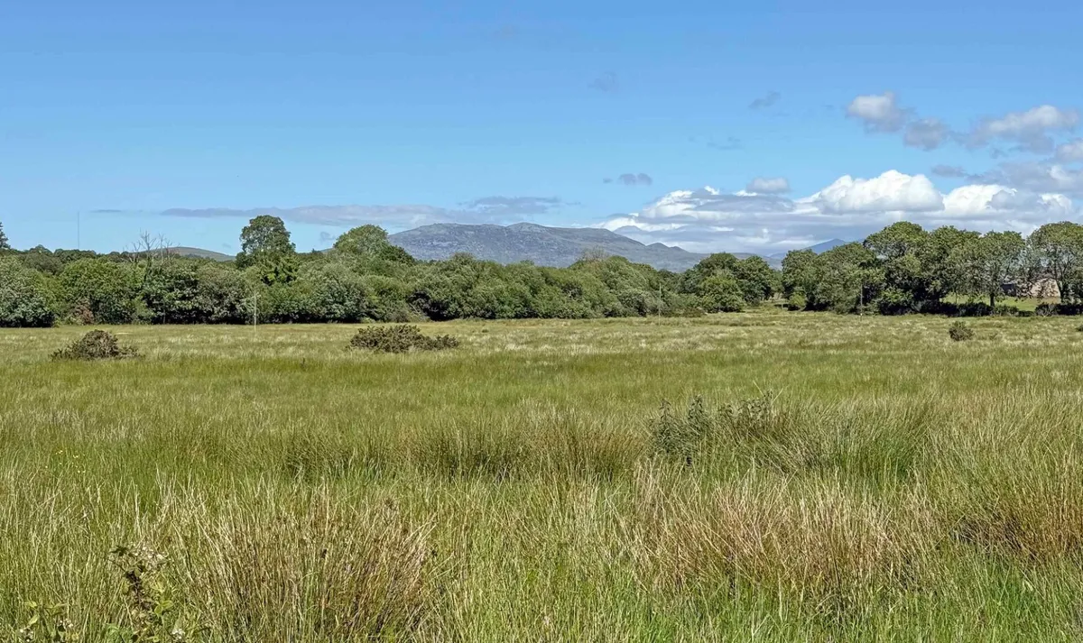 Llanarmon, Pwllheli, Gwynedd, LL53