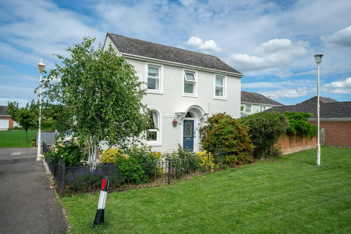 Waterlily, Watermead, Aylesbury