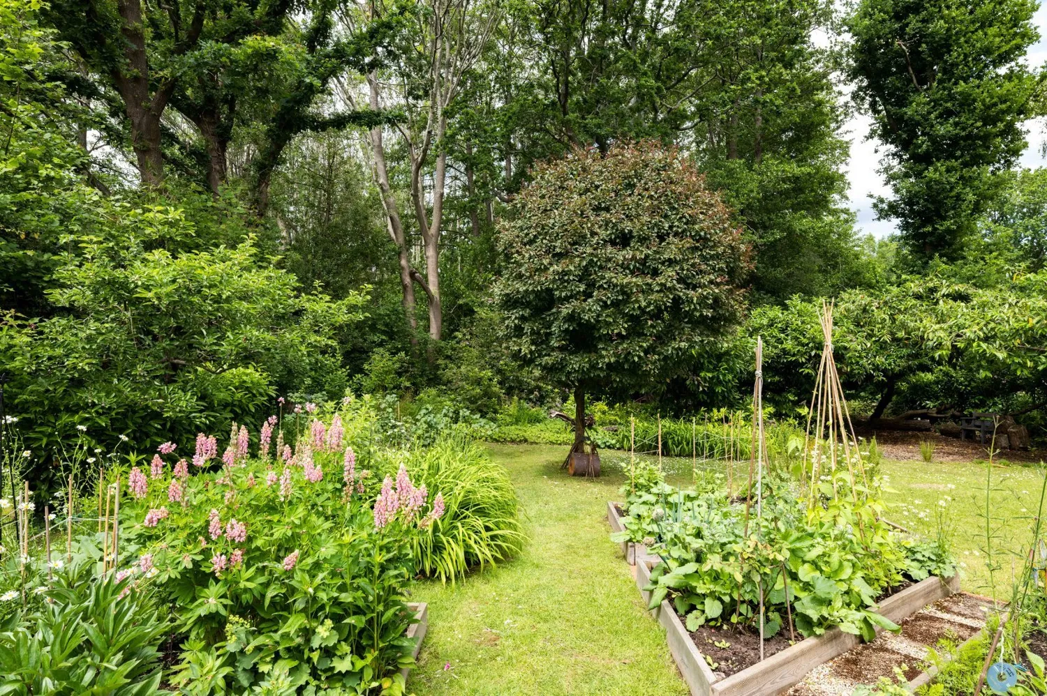 William Allen Lane, Lindfield, RH16 photo 13