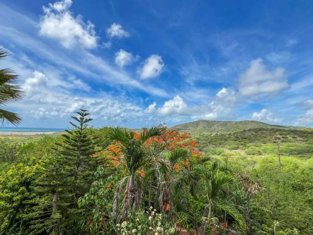 2-D Sight (The) EA St. Croix St. Croix