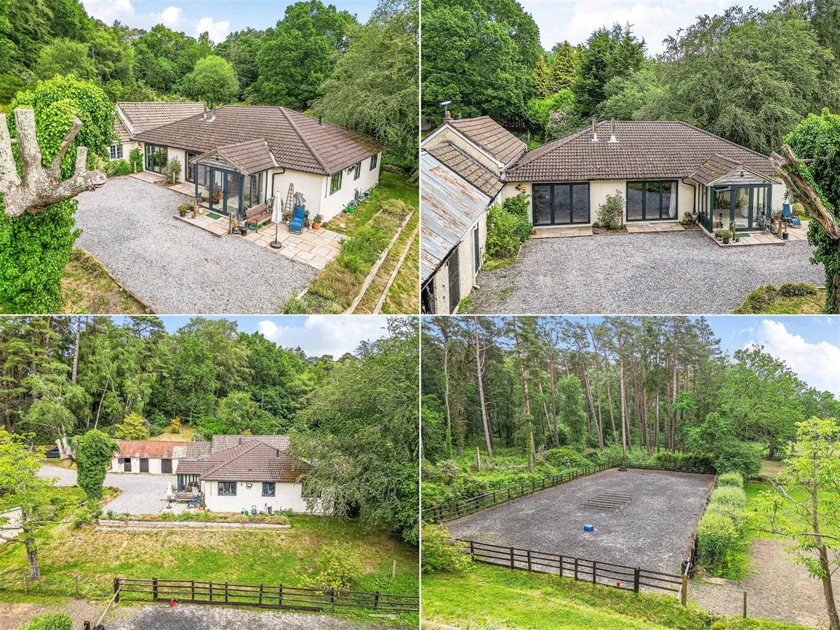 New Forest near Ringwood, Hampshire