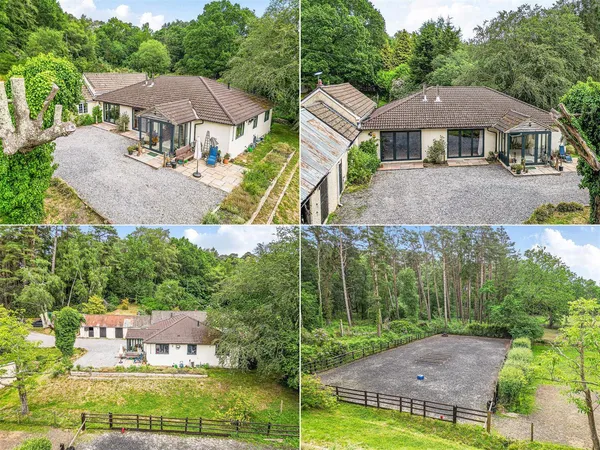 New Forest near Ringwood, Hampshire