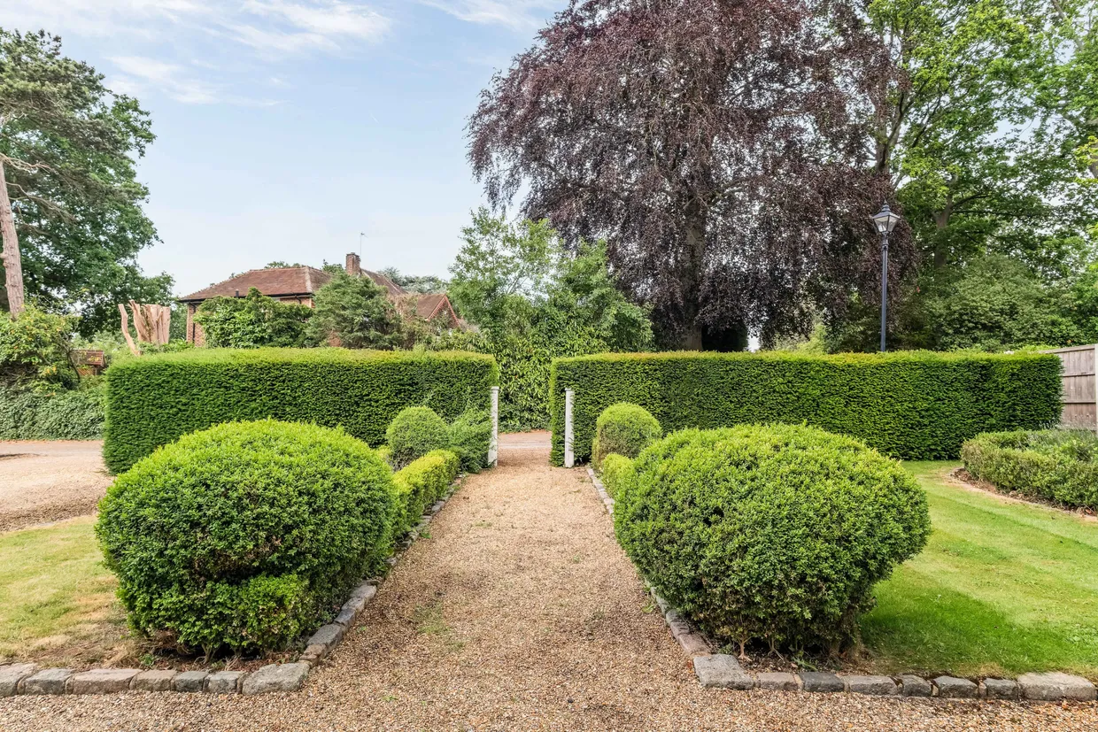 Oakwood Close, Chislehurst, BR7 photo 24