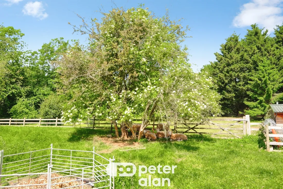 Property photo 30