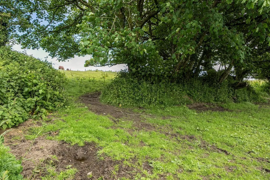 Property Image 39