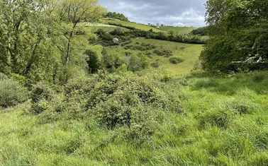 Dunchideock, Exeter