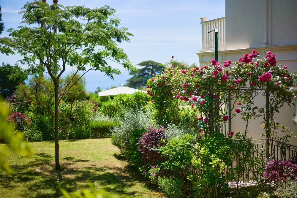 Cannes (Super Cannes), 06400, France