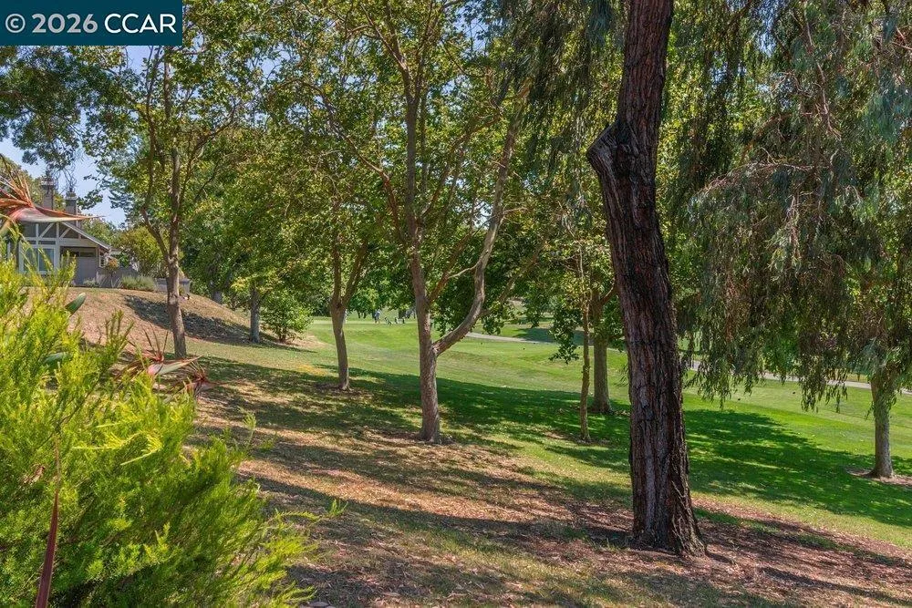 565 Silver Lake Dr, Danville, CA 94526