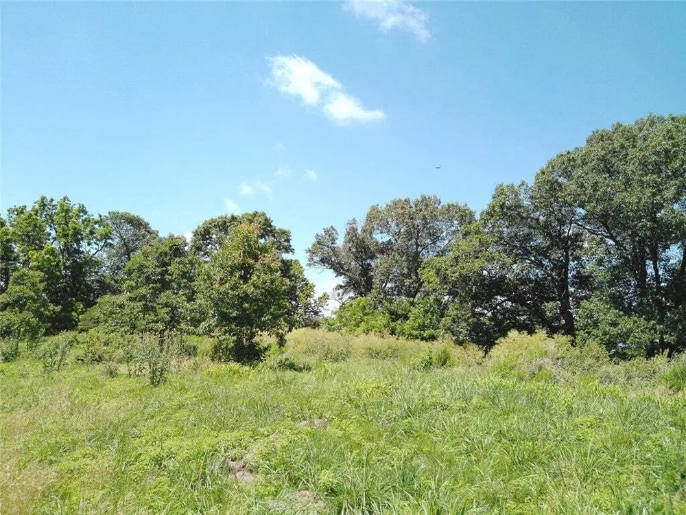 1029 Bear Hollow Rd, Pineville, MO 64856