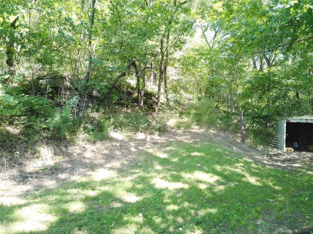1029 Bear Hollow Rd, Pineville, MO 64856