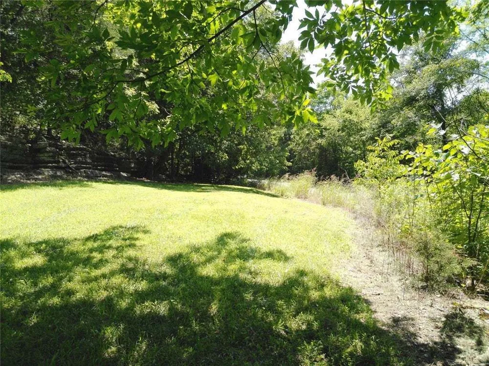 1029 Bear Hollow Rd, Pineville, MO 64856