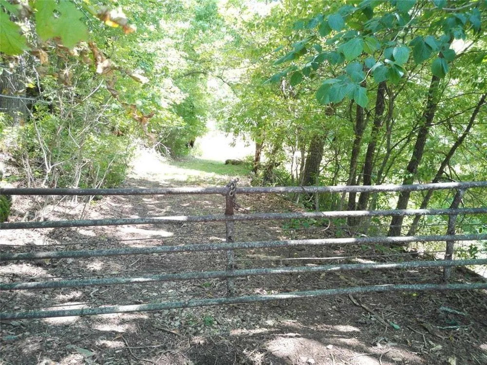 1029 Bear Hollow Rd, Pineville, MO 64856