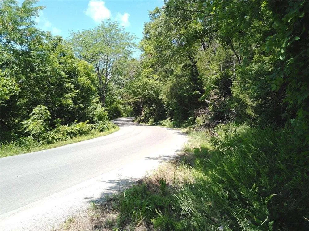 1029 Bear Hollow Rd, Pineville, MO 64856