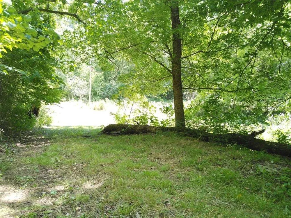 1029 Bear Hollow Rd, Pineville, MO 64856